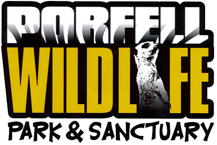 Porfell Wildlife Park and Sanctuary